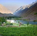 تحقیق-پارک-های-ملی-و-مناطق-حفاظت-شده-در-ایران